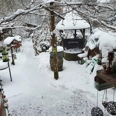 Palm * モンシャウ