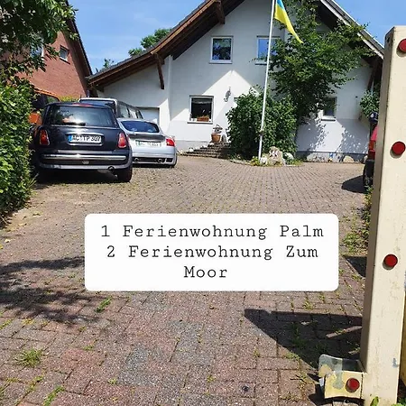 Palm Daire